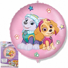 Balón Paw Patrol Sky a Everest